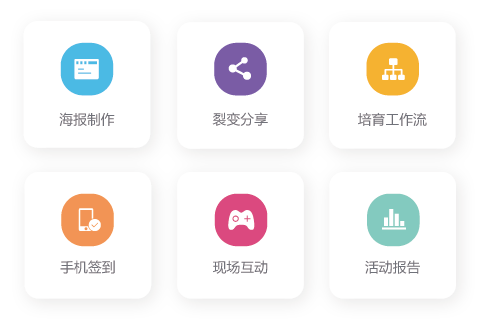 Focussend,電子郵件營銷,EDM,營銷自動化